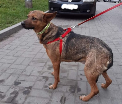 92146051_4075179322500026_7935619354069041152_n