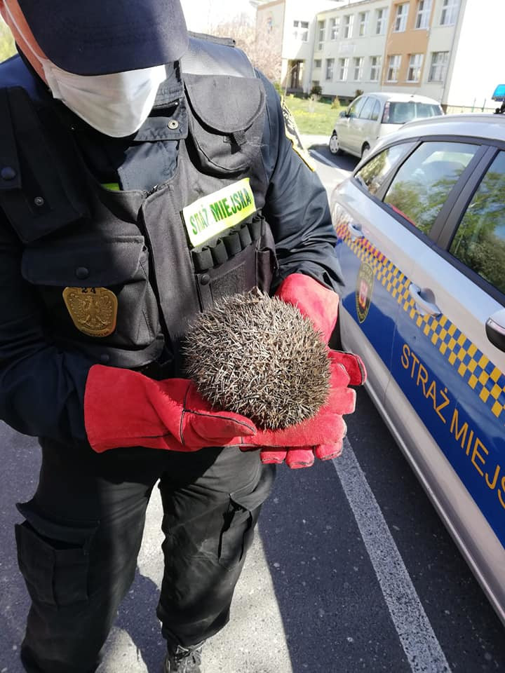 93709811_642801386572504_6660754446504427520_n