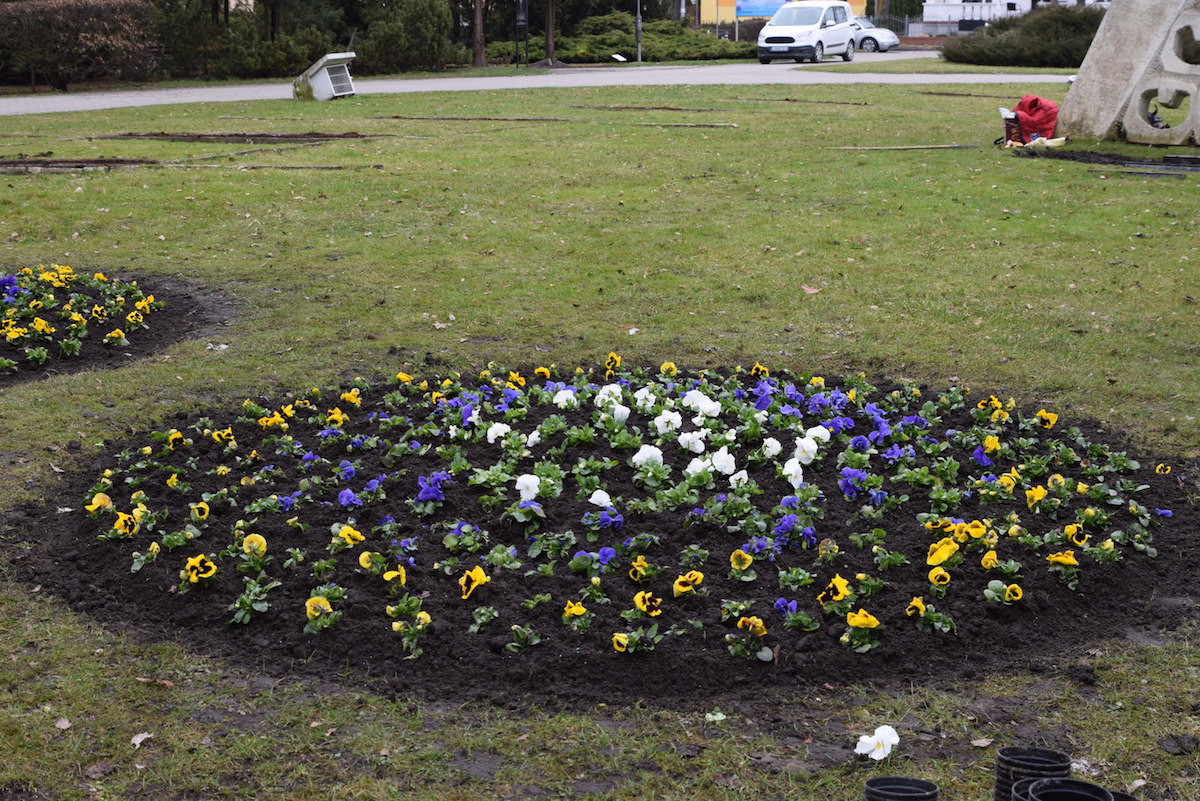 Wiosenne nasadzenia 4