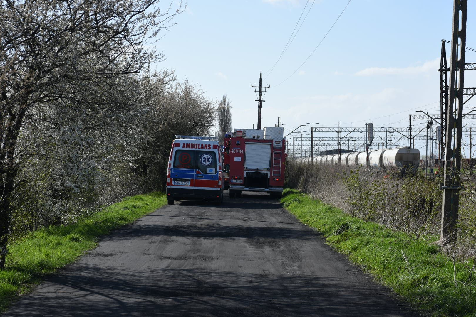 176486163_511988126635179_4557478277921174377_n