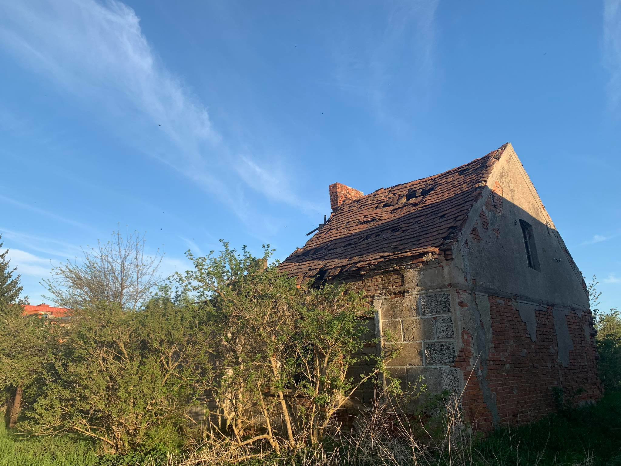 184290495_136616881785098_499318526071252128_n