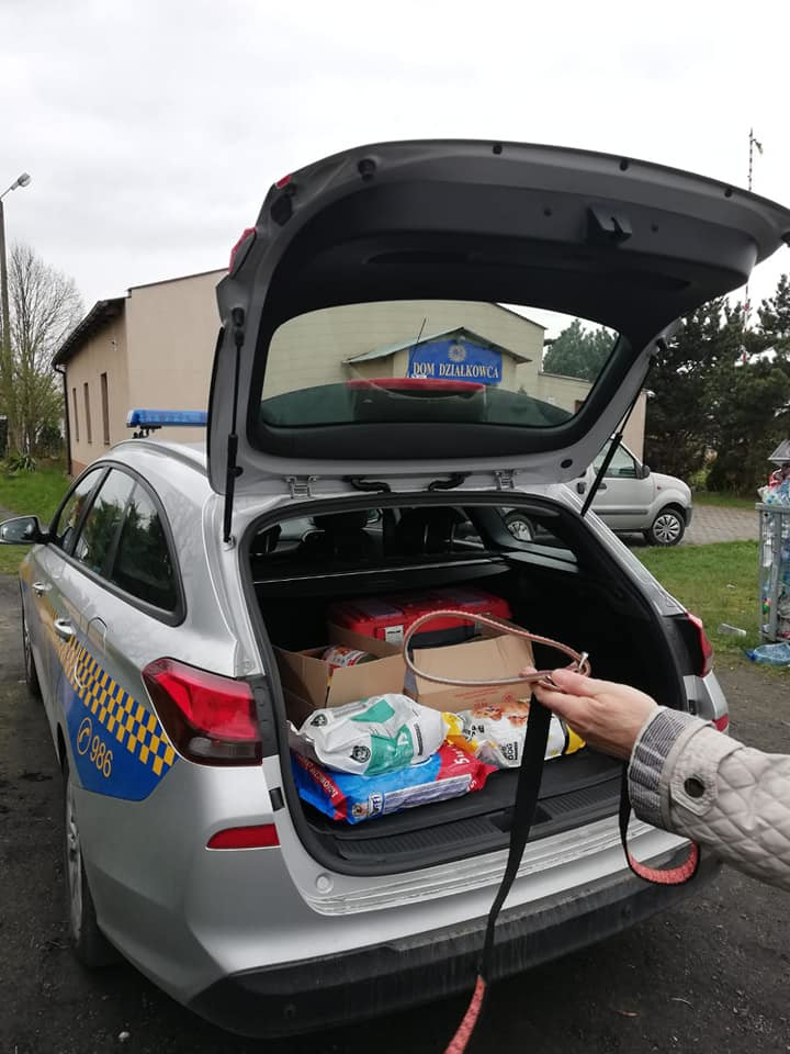 184770842_906707960181844_7211863070710402952_n