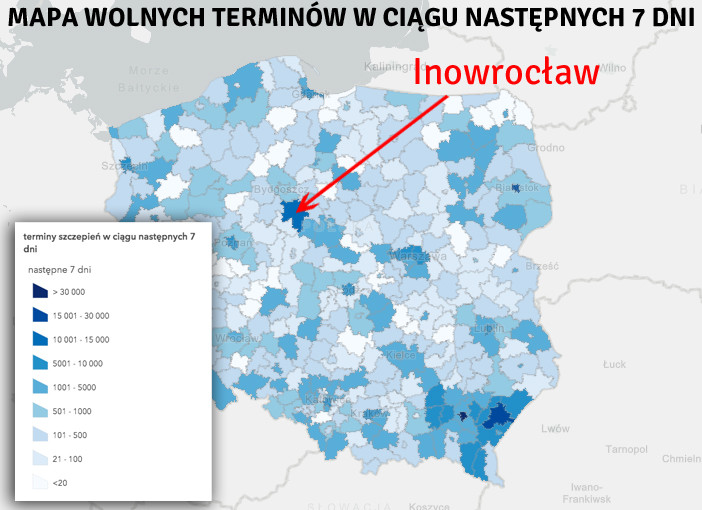 Mapa wolnych terminów 