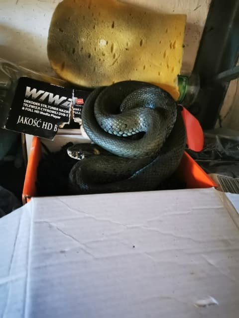 185198199_907909560061684_8883138508316678352_n