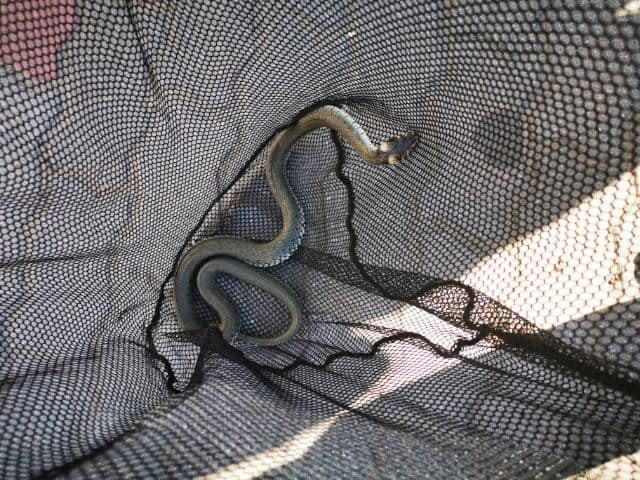 186061353_907909590061681_2616881022676193615_n