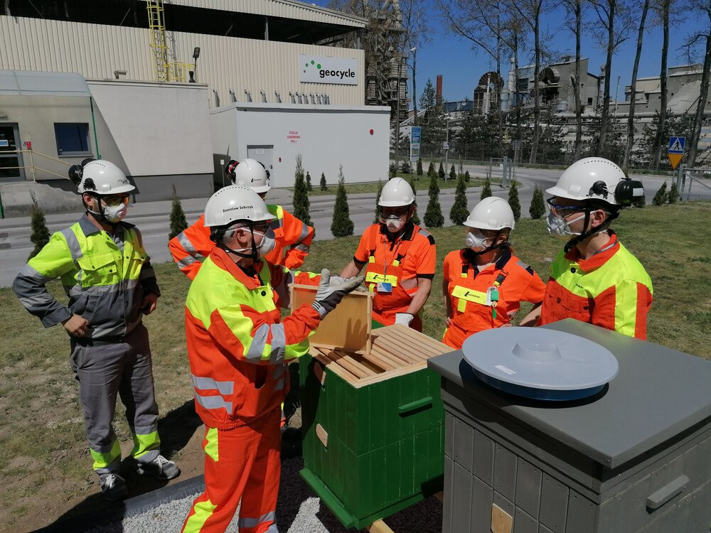 Ule na terenenie cementowni Lafarge_1