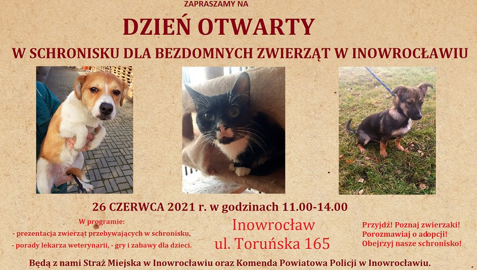 203301342_1178566669215606_7907419125899242092_n