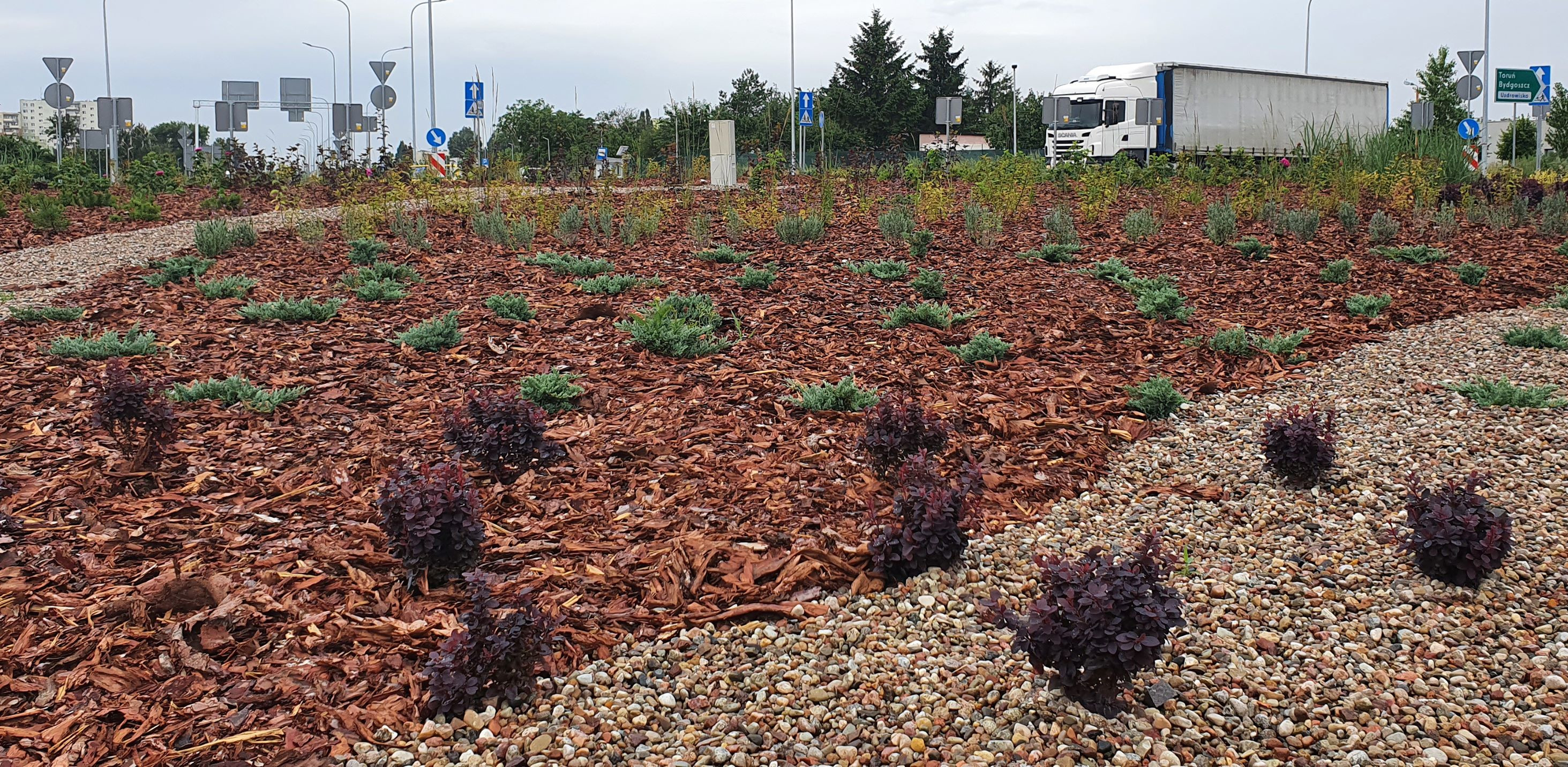 219141249_869515083650773_6413627792958928747_n