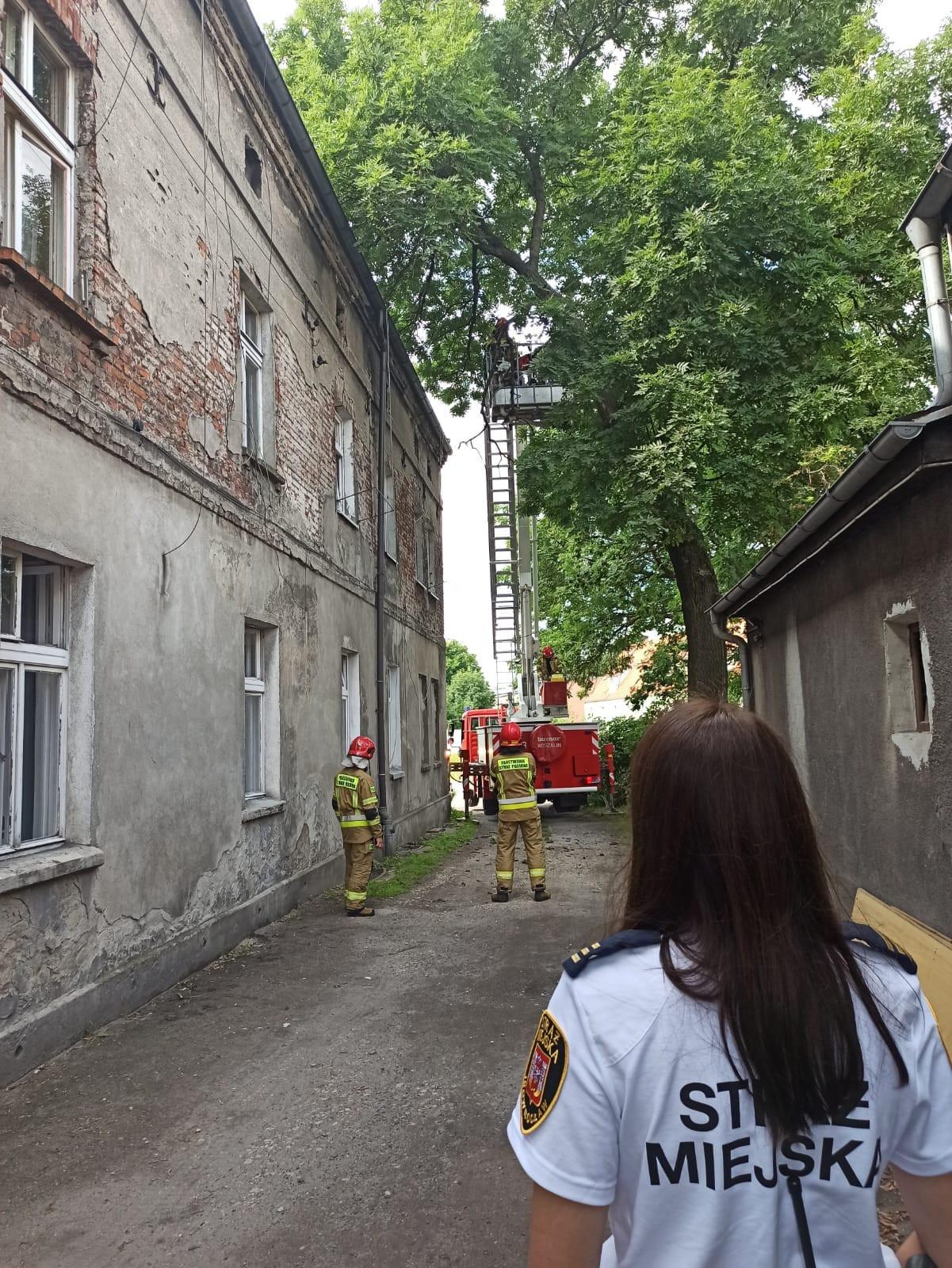 221260984_949483082570998_770854552855130097_n