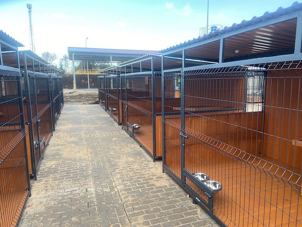 269752089_331504832312372_3673603716349832873_n