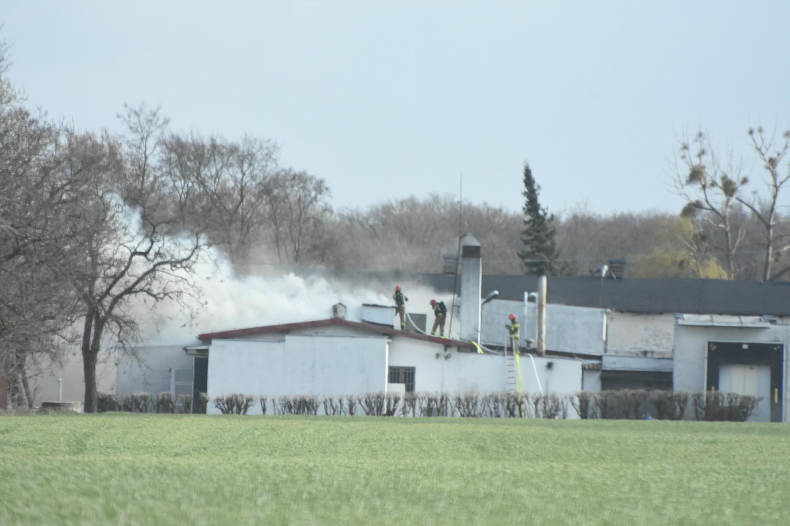 277362958_1184294512320279_1029404354031857500_n