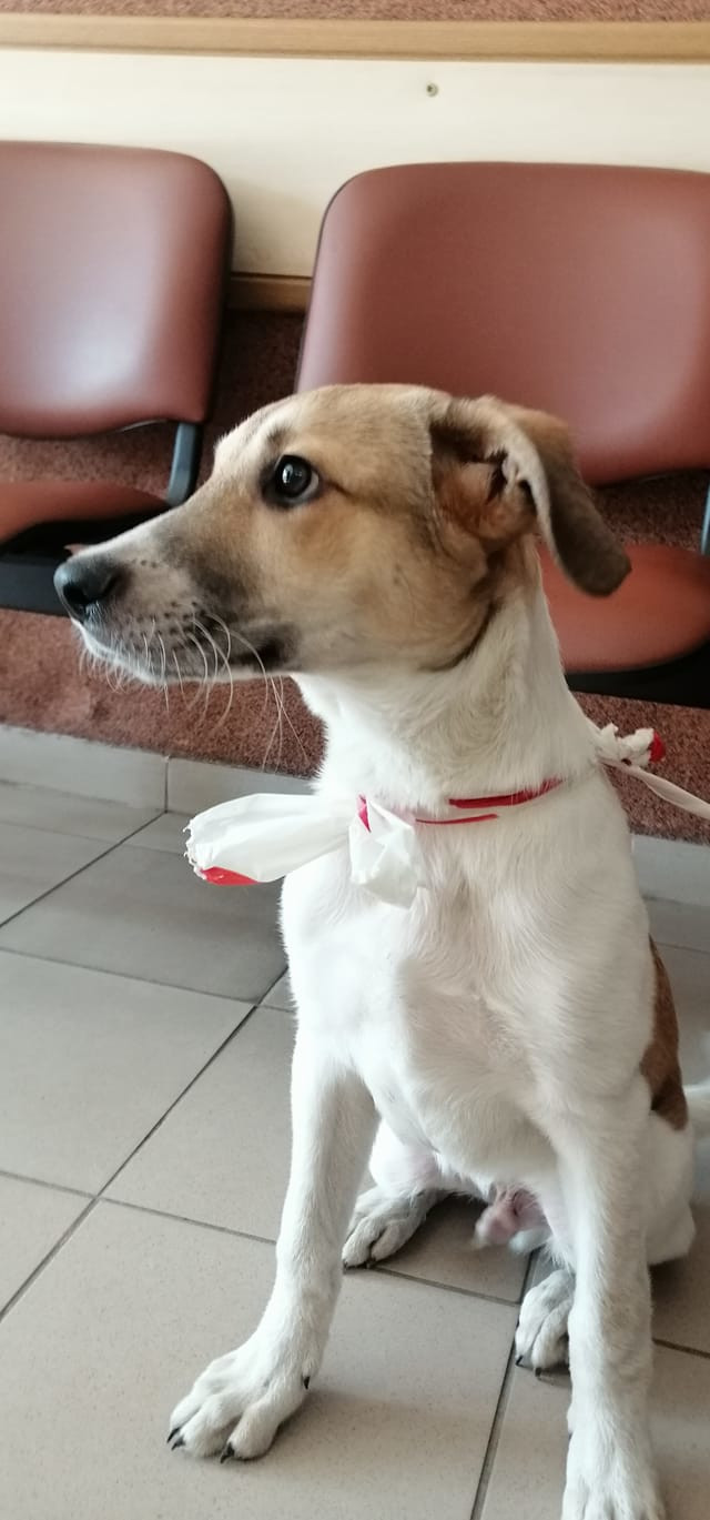 278977385_484469843472516_4723152126325794423_n