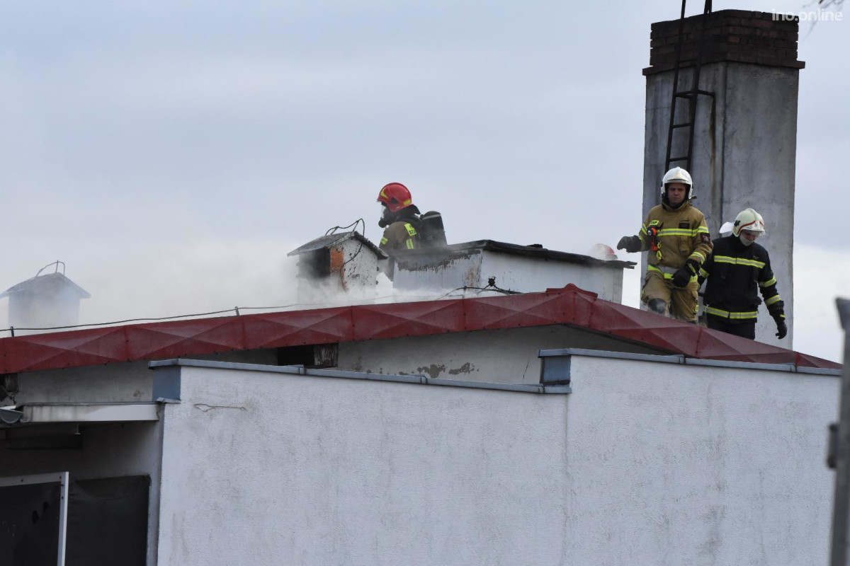 277690584-1154543418615596-8488403120132983199-n