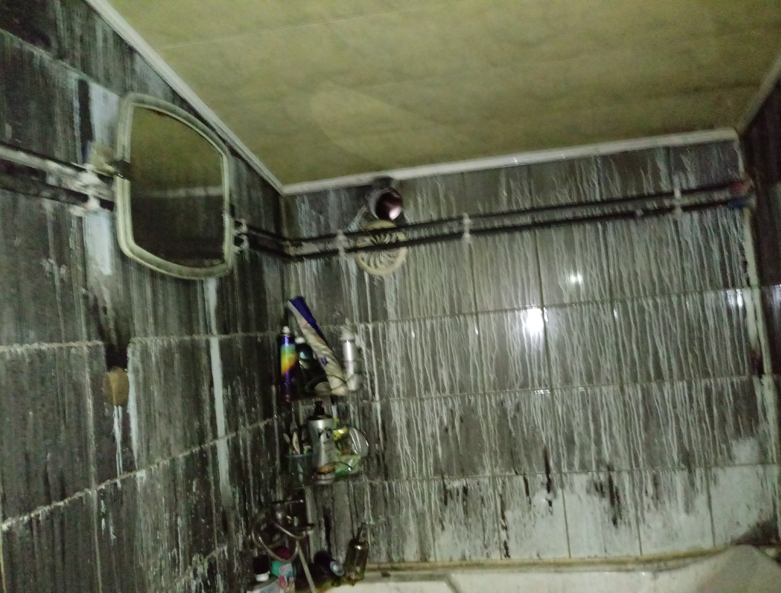 380251026_1288213058558944_7291983291399614880_n (1)