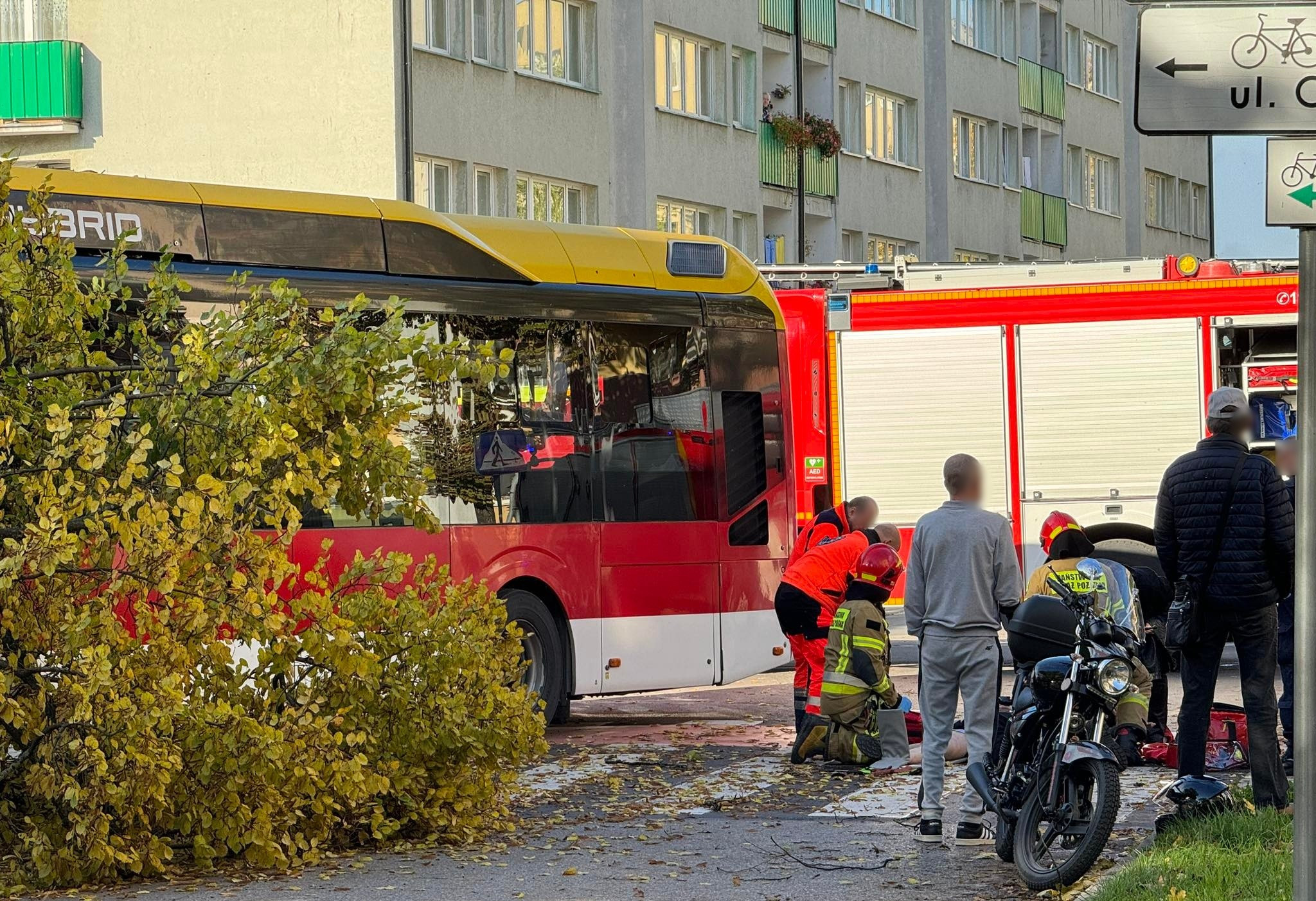 387555040_267122616305632_2398136087332969012_n