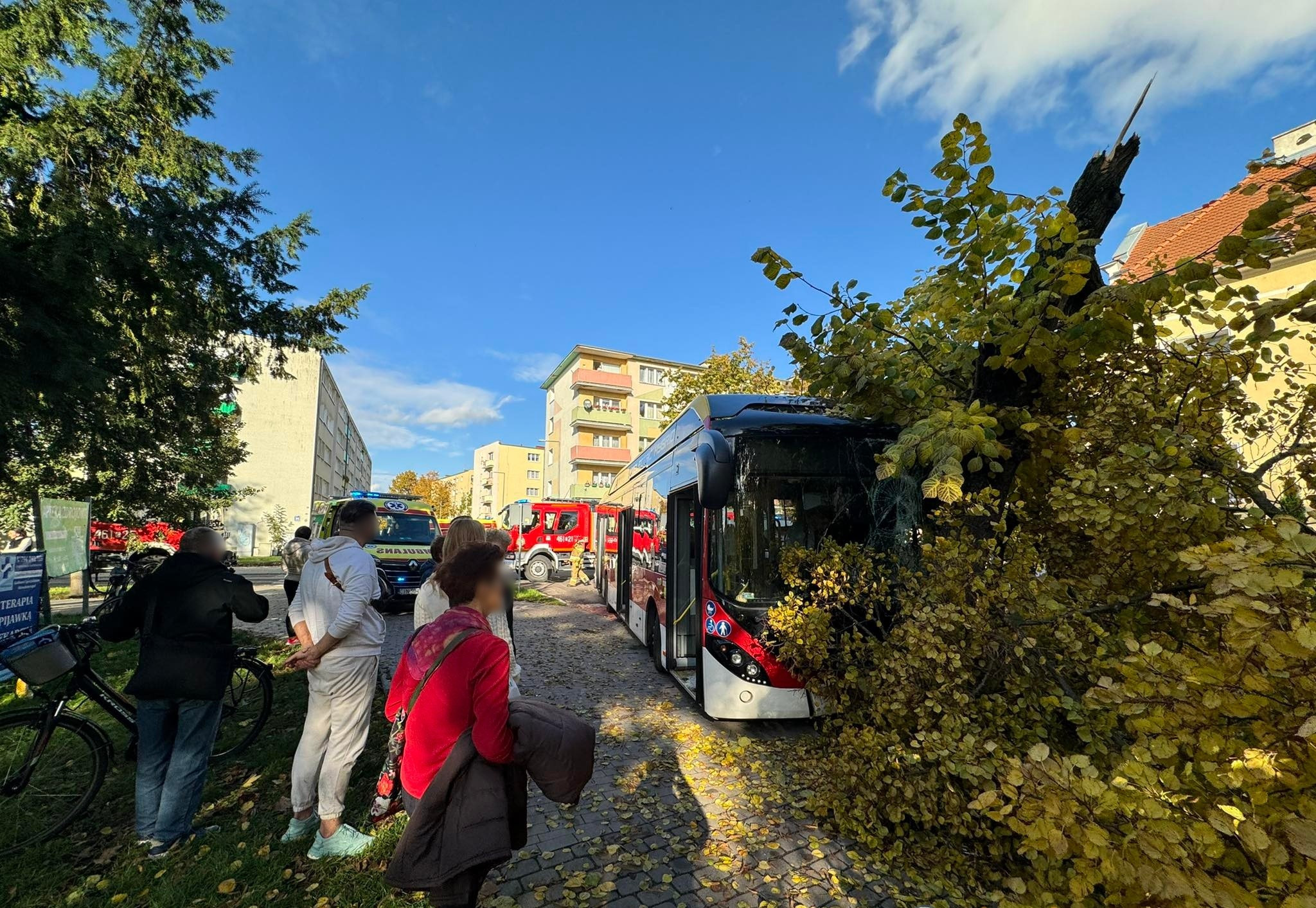 387567088_1069429717404431_3065506107680266934_n