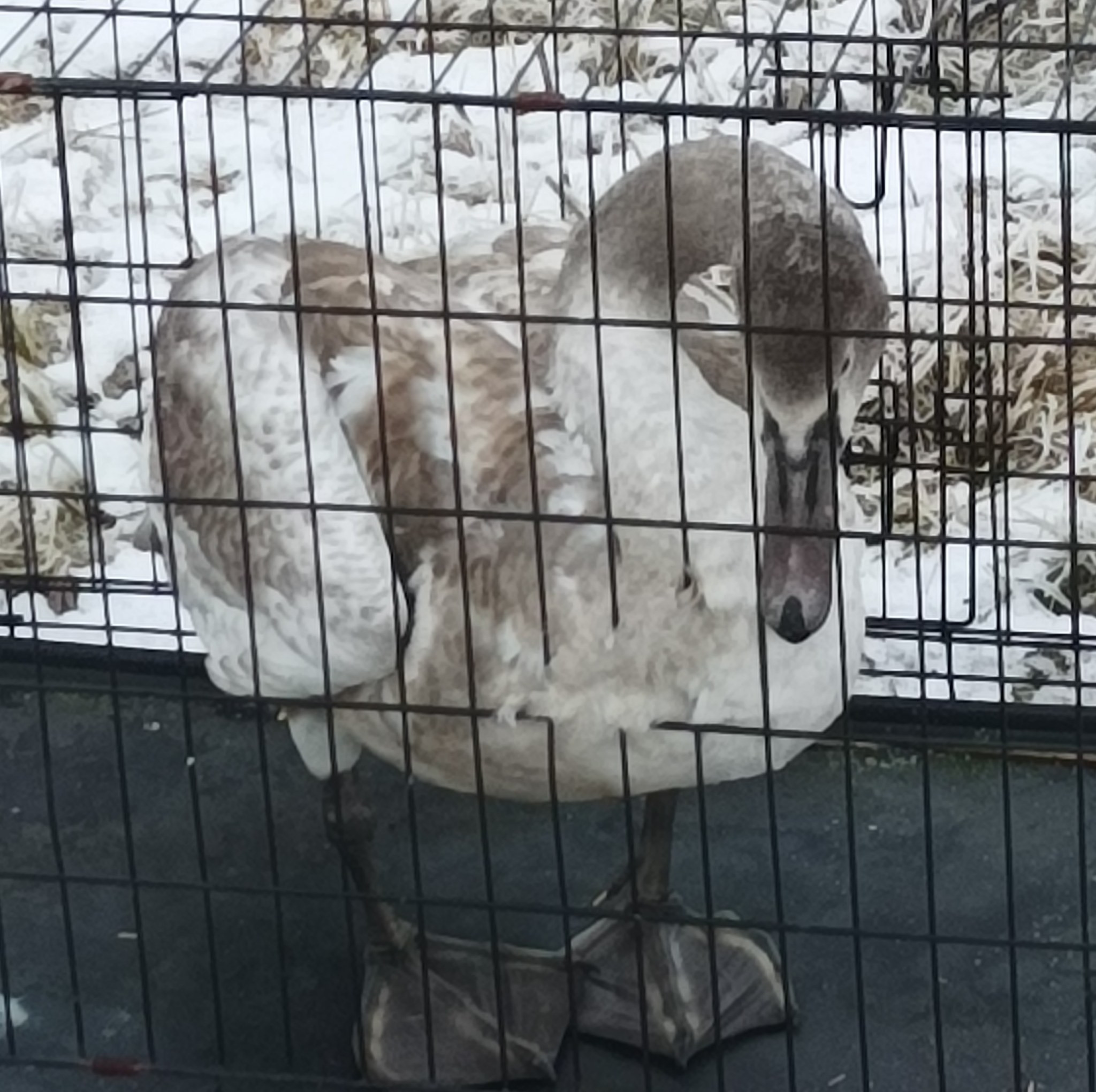 406579462_668176608833332_33029388115099577_n