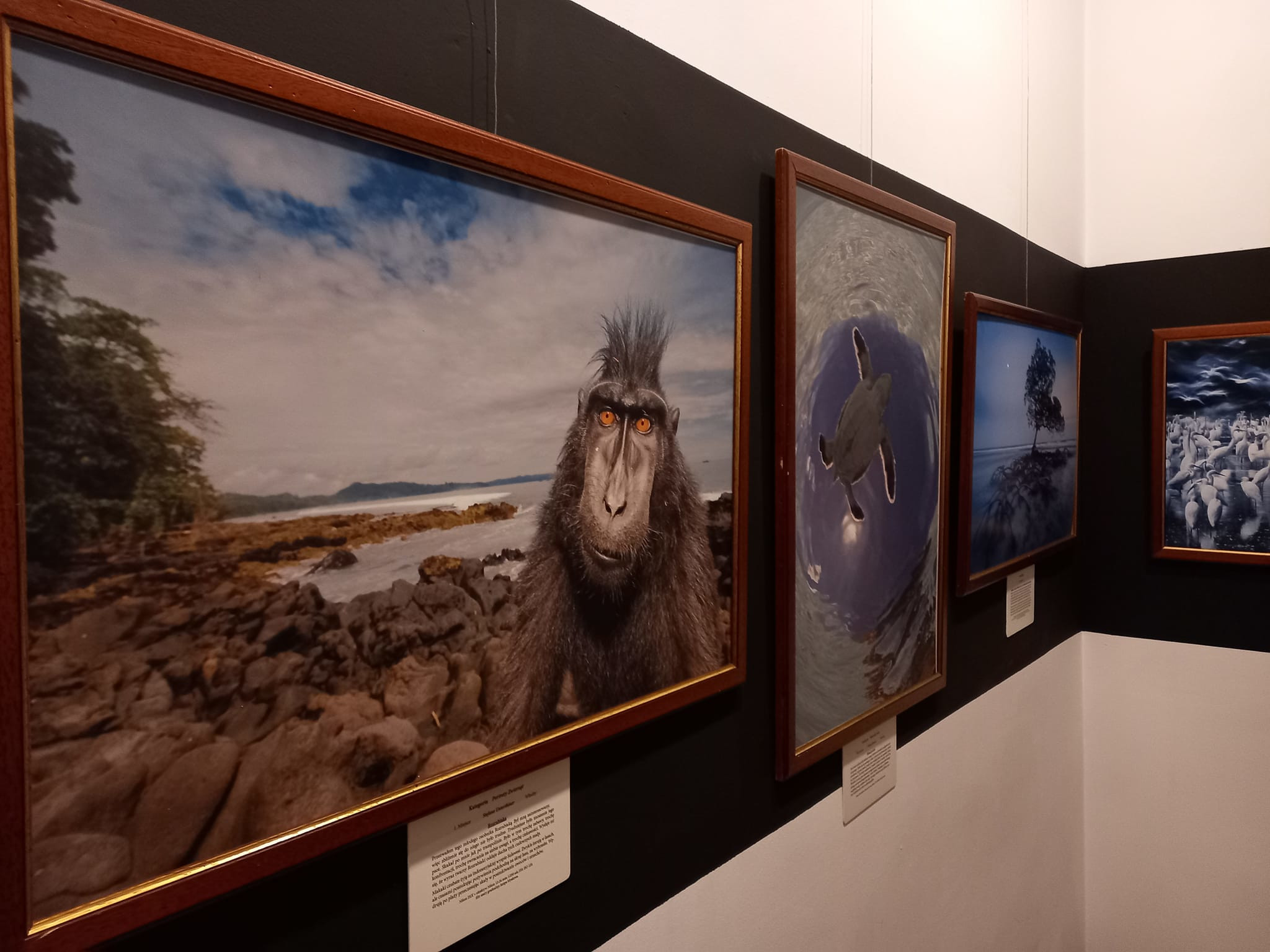 409611134_367551015655725_5185022646508716109_n