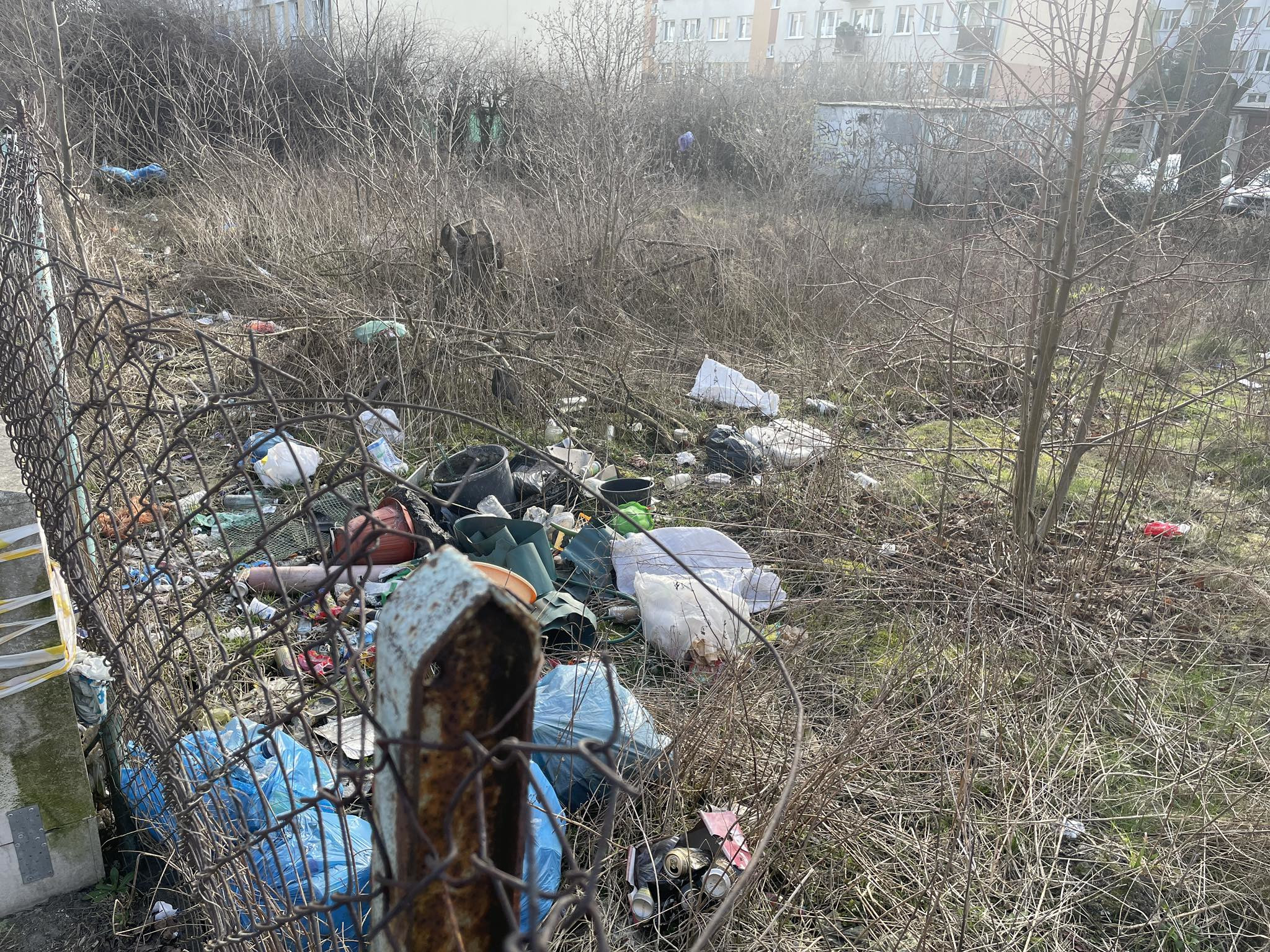 432407363_1852790065161762_7588414592529220805_n