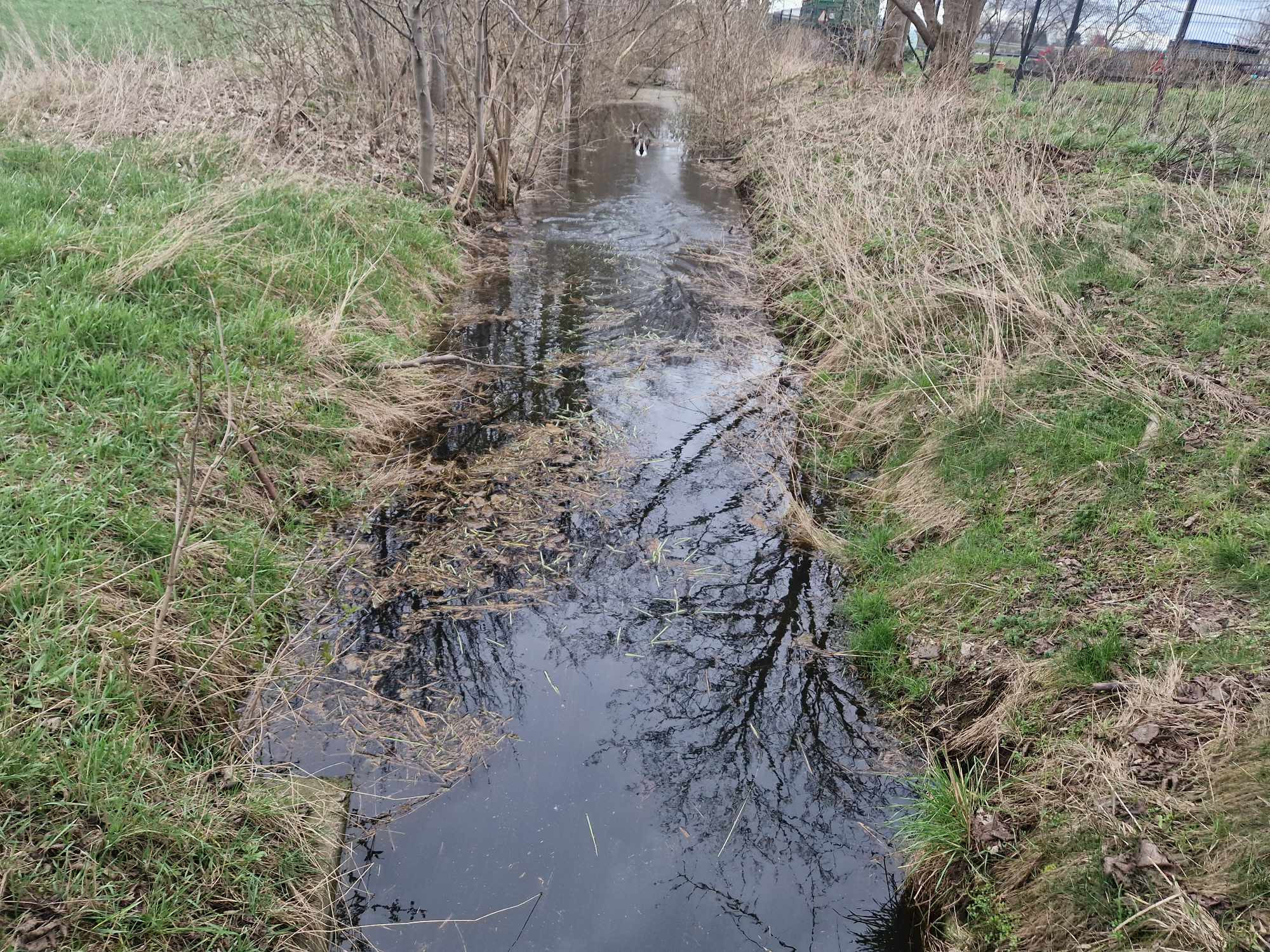 08f5eabc-8e9e-43ae-8c68-a712742c15b3