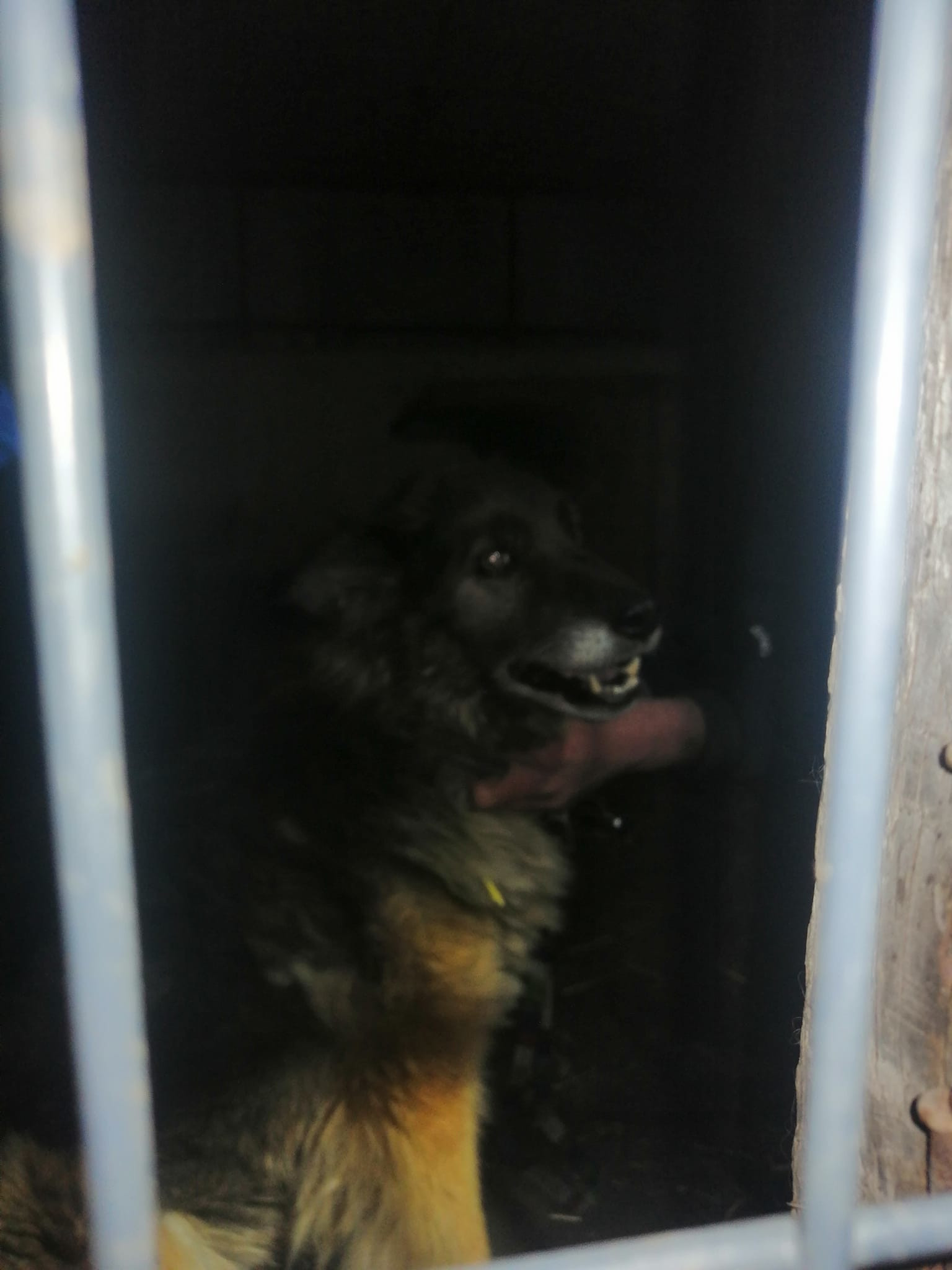 437397282_930840968835399_8557900942399891753_n