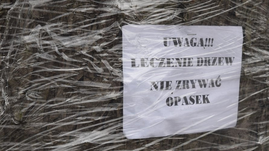 normal_4d91dbb1c0731e2b4b6fb572c36e790decce914c