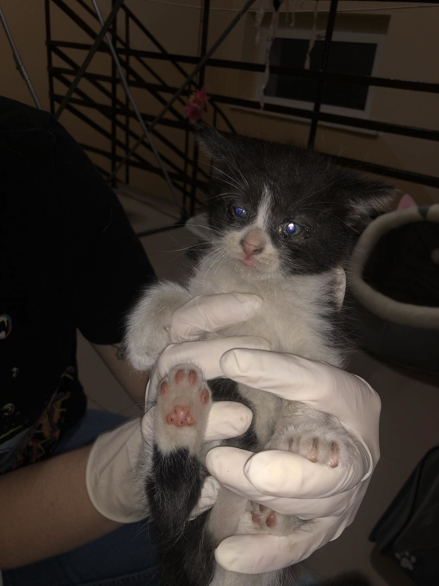 441222650_470375435553704_4209478778825117991_n