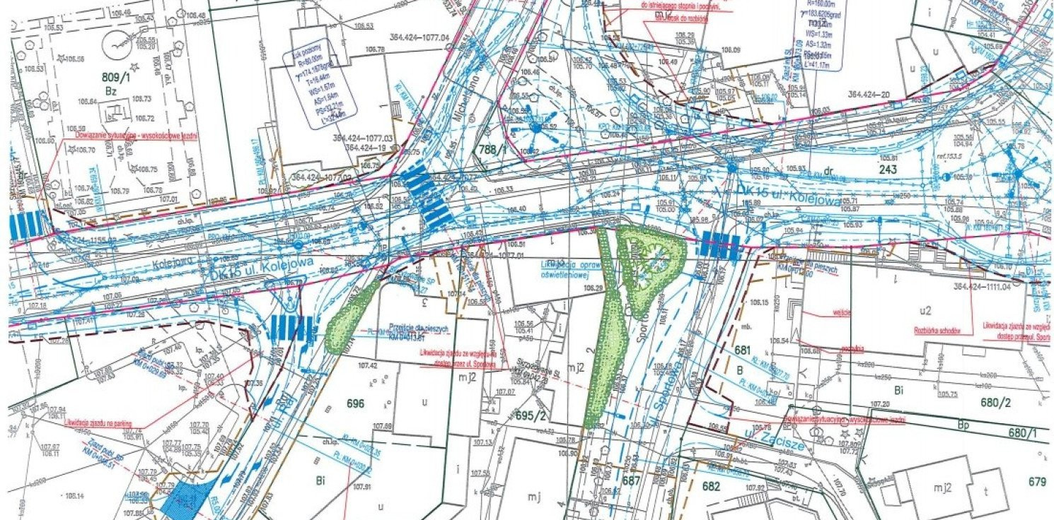 Strzelno - Co zamiast kasztanowców? Jest odpowiedź GDDKiA