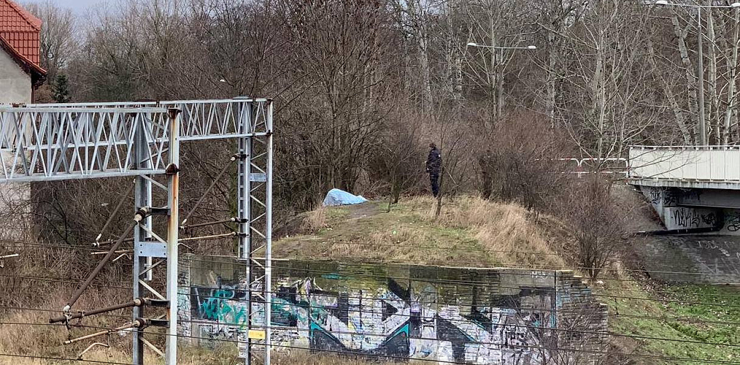 Inowrocław - Zwłoki na drzewie w pobliżu torów kolejowych