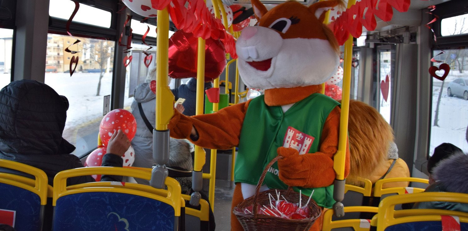 Inowrocław - Walentynkowy autobus krąży po mieście