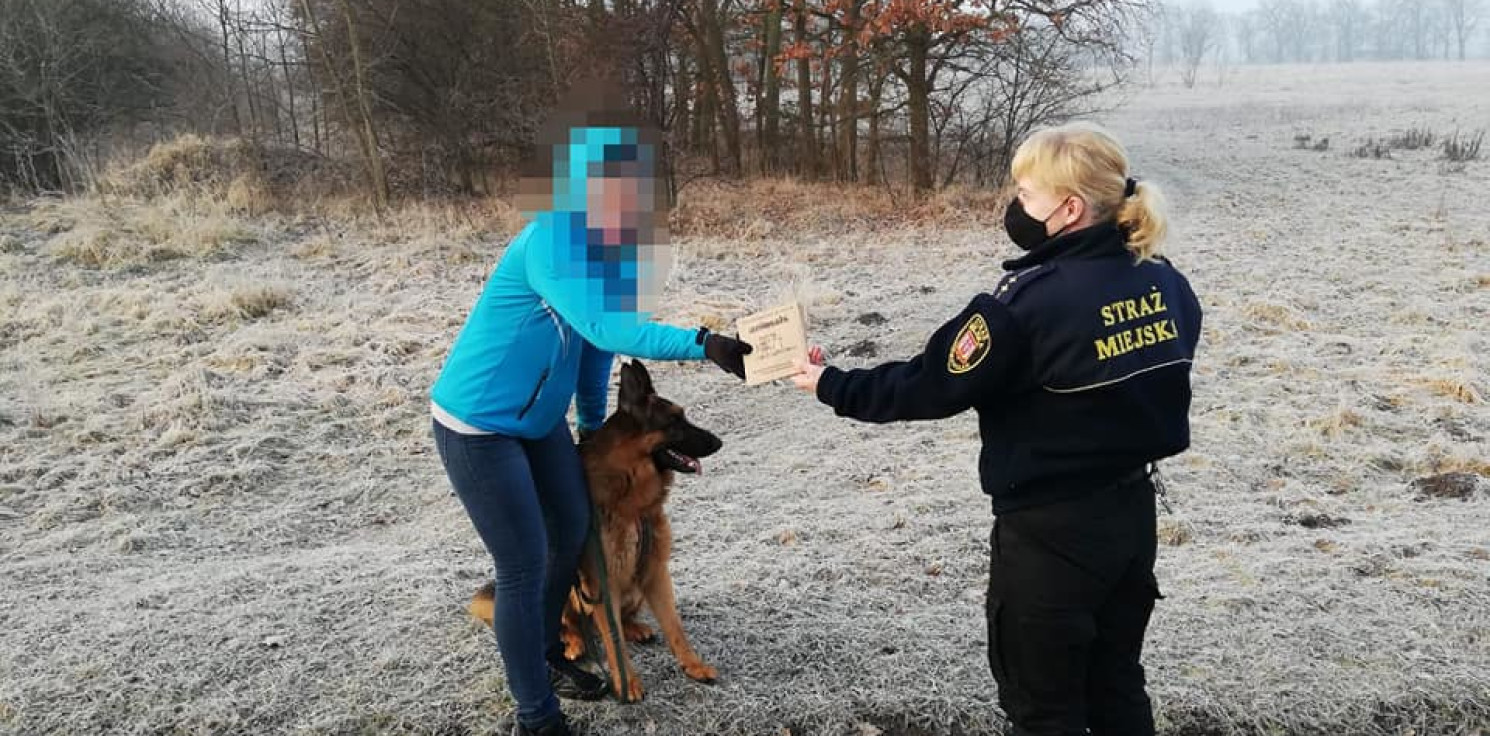 Inowrocław - Psi pakiet lepszy niż mandat. Akcja municypalnych