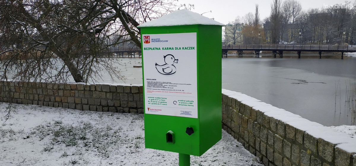 Inowrocław - Kaczkomat ma prawie rok. Jak się sprawuje?