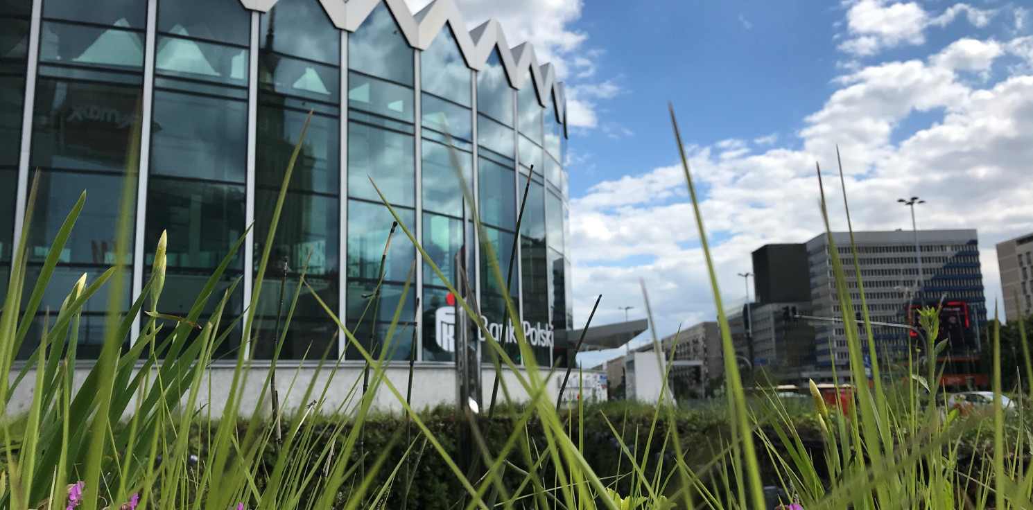 Kraj - Bycie eko się opłaca - największy bank w Polsce wspiera transformację energetyczną kraju