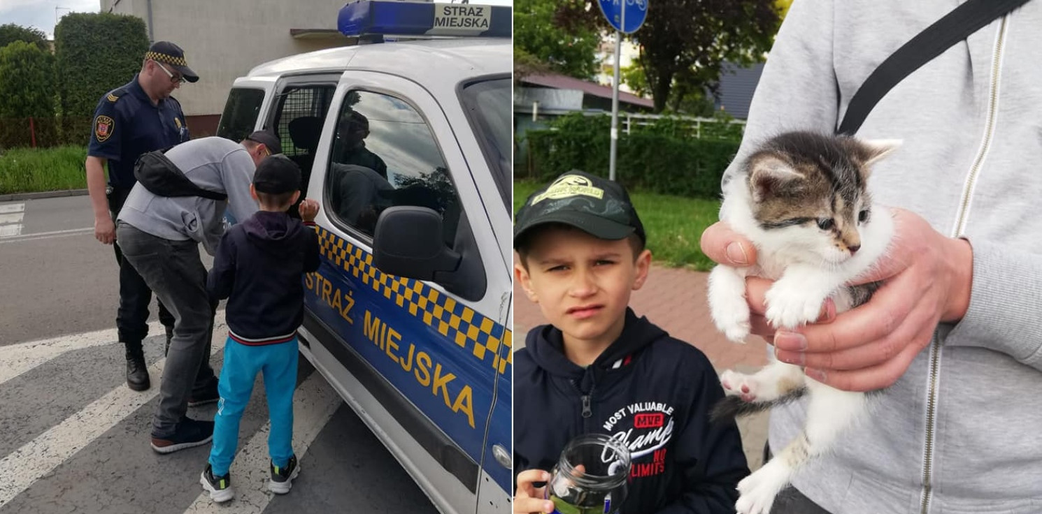 Inowrocław - Mieszkańcy znaleźli kotka w reklamówce pod sklepem