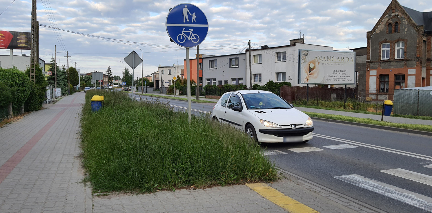 Inowrocław - Metrowe zarośla przy ulicach i chodnikach