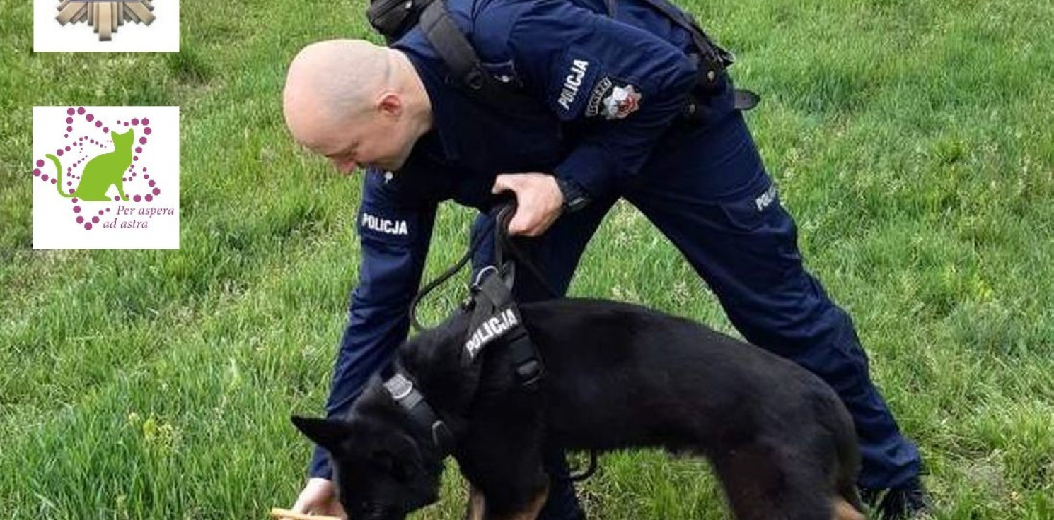 Inowrocław - Konkurs dla dzieci "Policyjny przewodnik i jego pies"