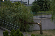 Wiatr złamał drzewo na Solnie. Jest nagranie