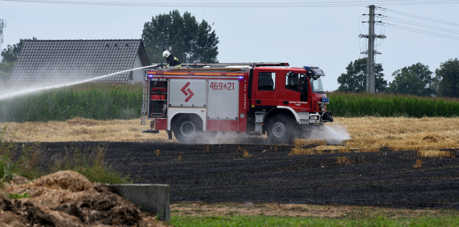 Pakość.online - Pożar na polu koło Pakości. Strażacy w akcji