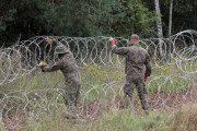 Wojsko rozpoczęło budowę płotu na granicy polsko-białoruskiej