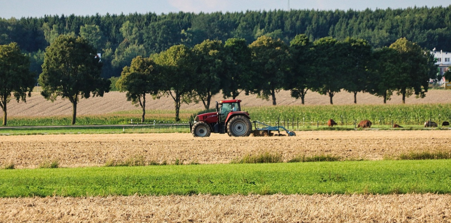 Kruszwica.online - Pijany traktorzysta zatrzymany pod Kruszwicą