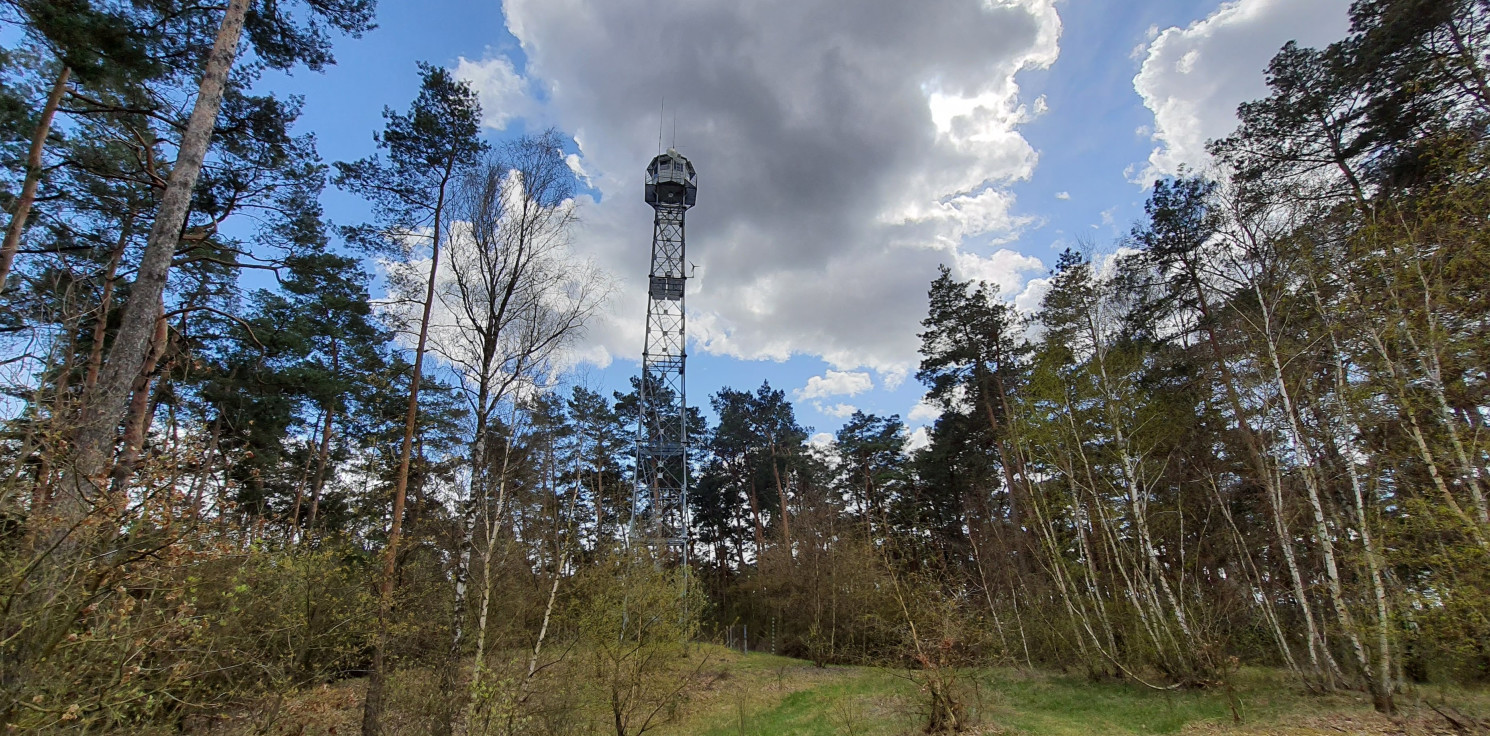 Inowrocław - Osadzeni będą pracować w lesie