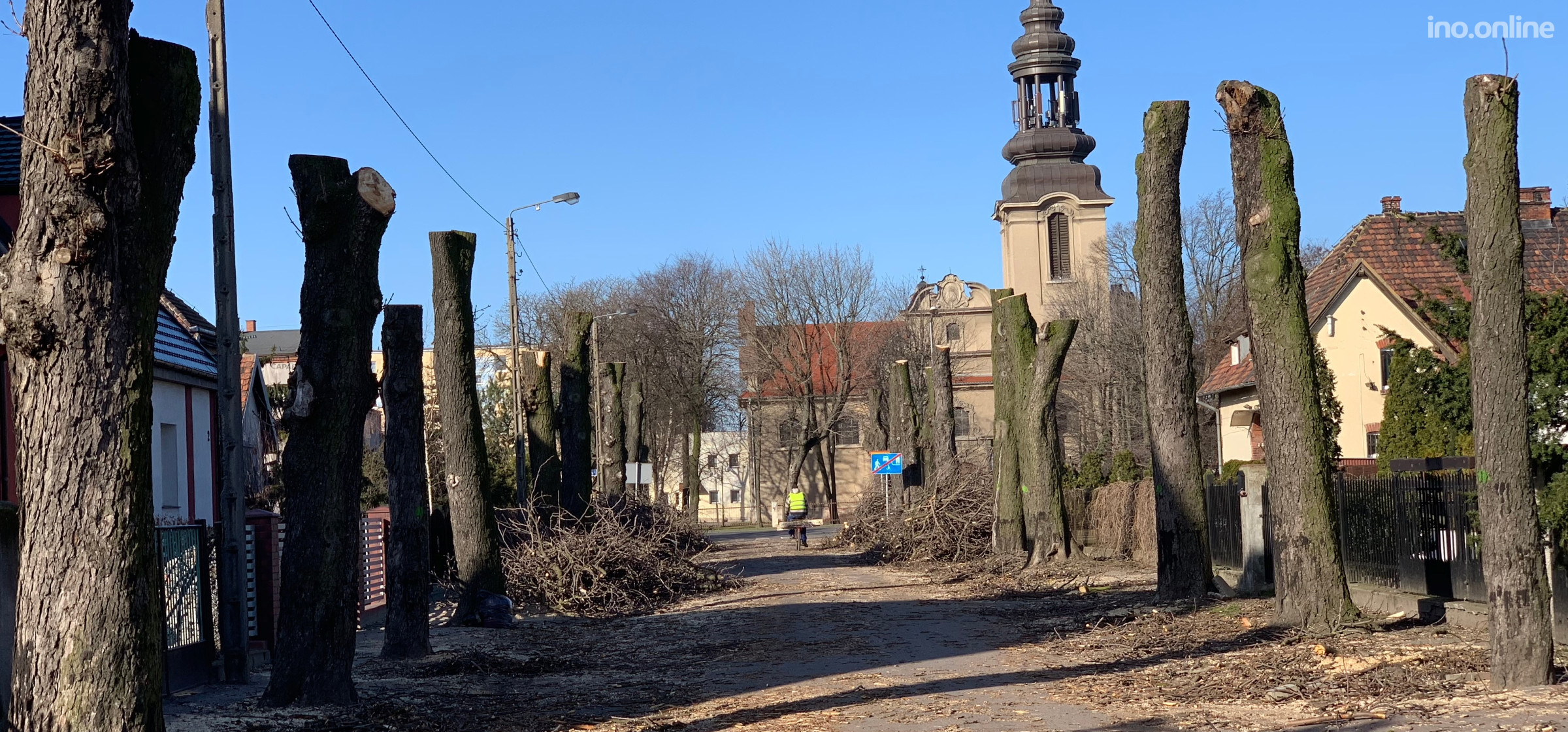 Inowrocław - Wycinka drzew w Mątwach