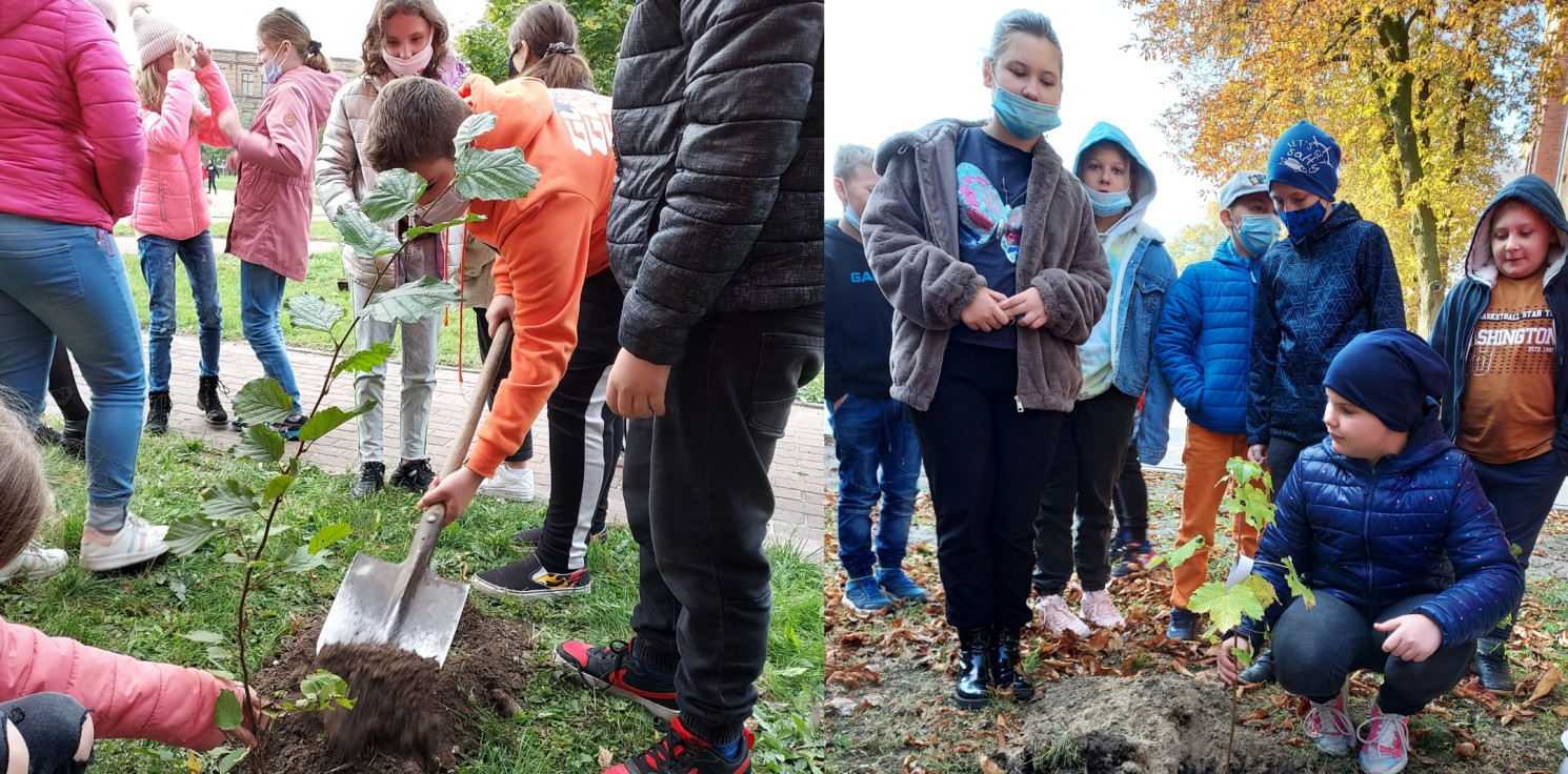 Inowrocław - Uczniowie sami posadzili drzewa. By było zielono