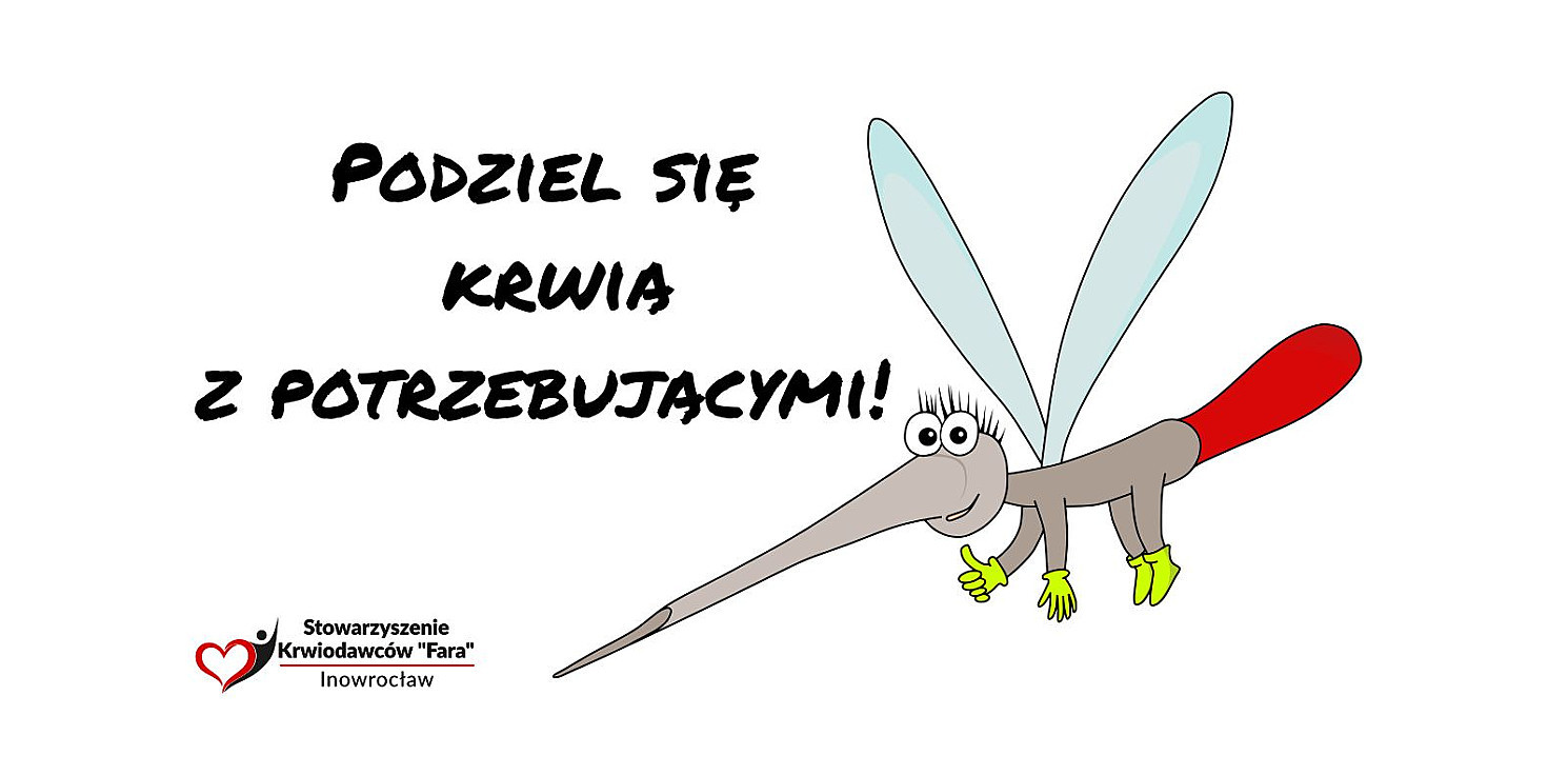 Inowrocław - Na Twoją krew czekają nie tylko komary