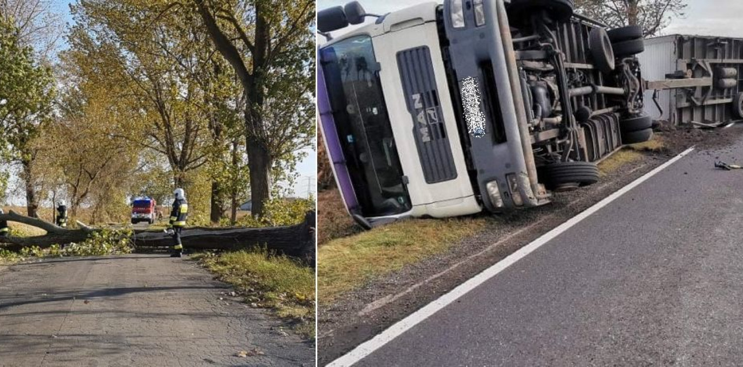 Mogilno - Wstępny bilans wichury w powiecie mogileńskim