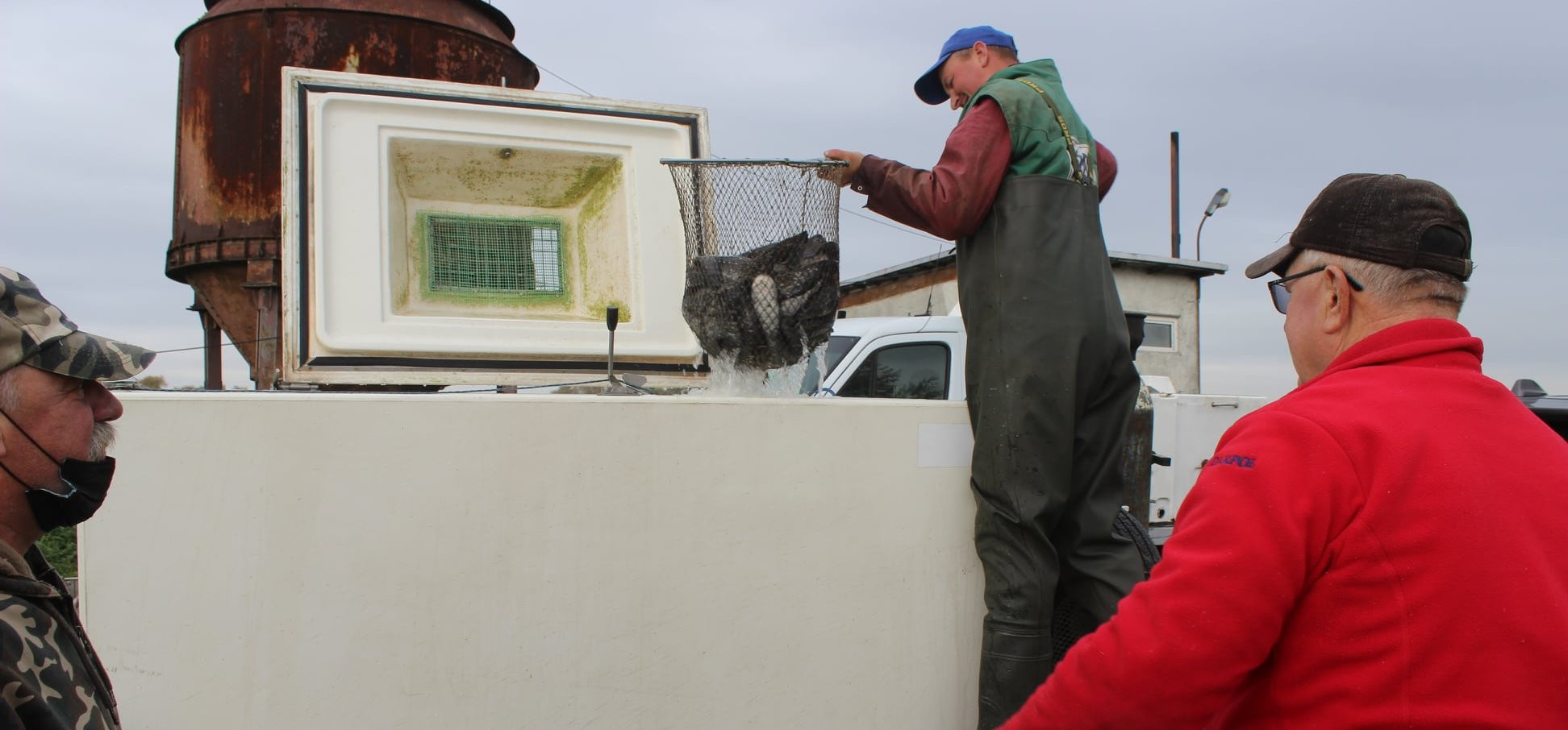 252793701-2993588314228610-8932067634906207850-n