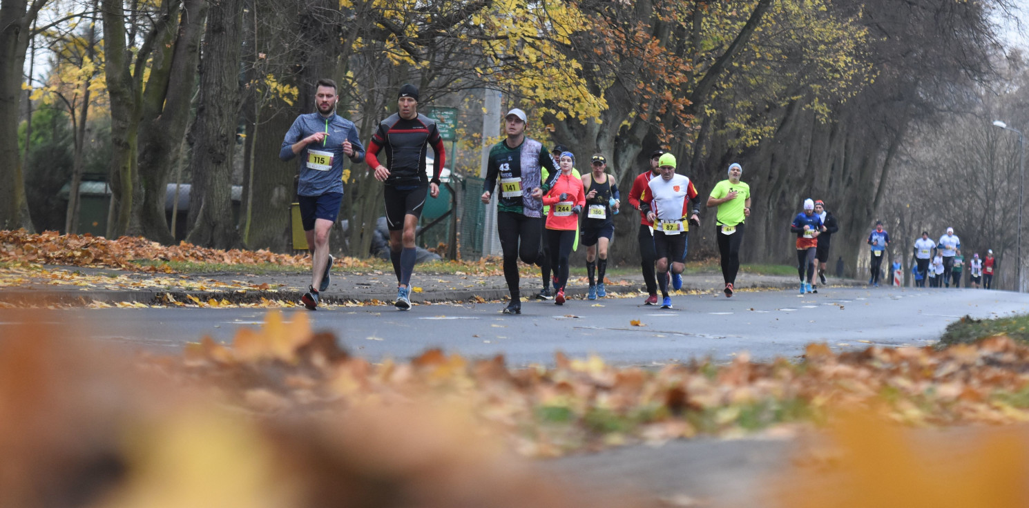 Region - Na finał grand prix pobiegli do Gniewkowa