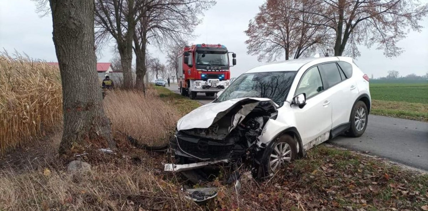 Region - Uderzył w drzewo i uciekał przed policją
