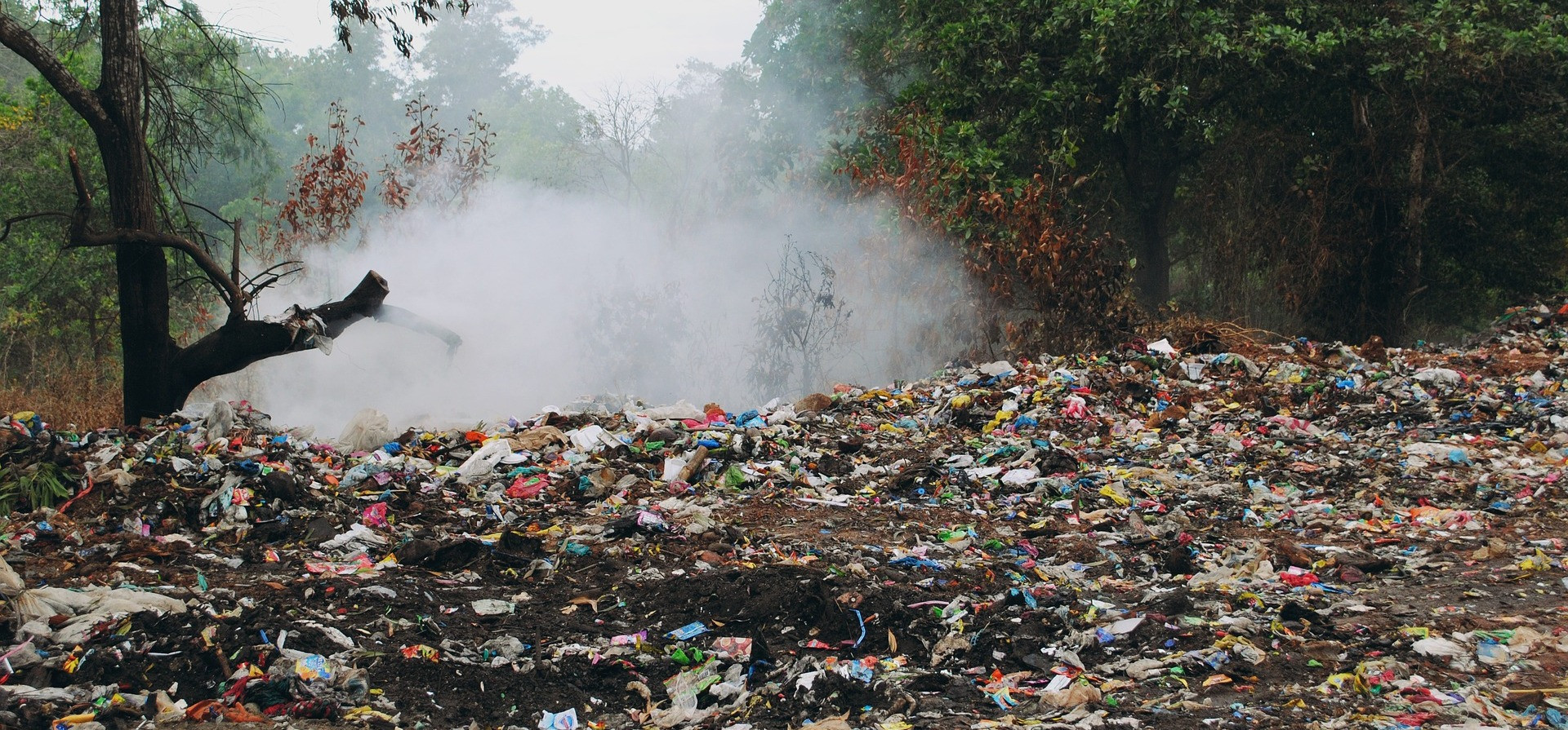 zdjecie-ilustracyjne