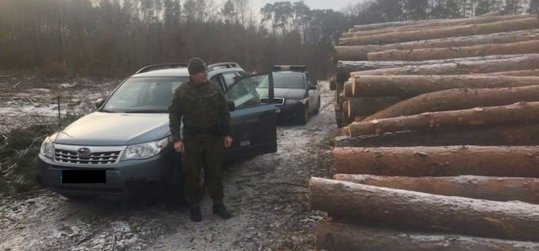 Gniewkowo - Policja i leśnicy kontrolują lasy